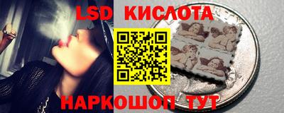 PSILOCYBIN Кулебаки