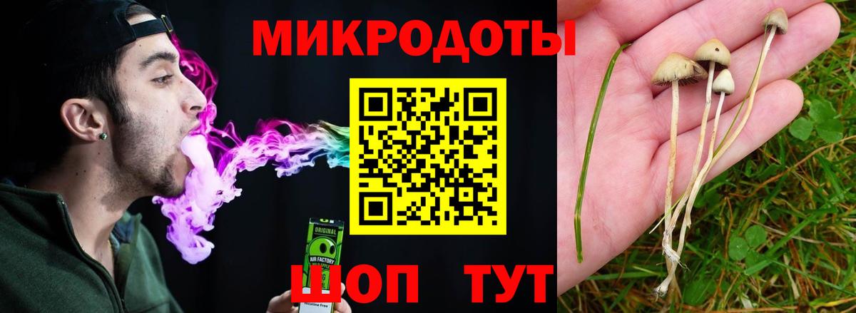 где купить   Вход с VPN  Гусев  Псилоцибиновые грибы Psilocybine cubensis 